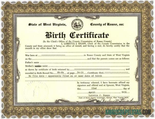 Certidão de nascimento do Cartório da Virgínia dos Estados Unidos exemplo real